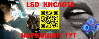 прущие крисы Новозыбков