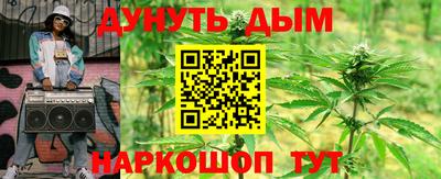 прущие крисы Новозыбков