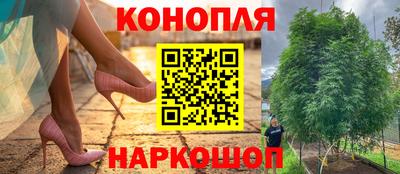 дживик Новокубанск