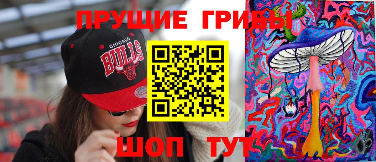 Галлюциногенные грибы GOLDEN TEACHER Татарск