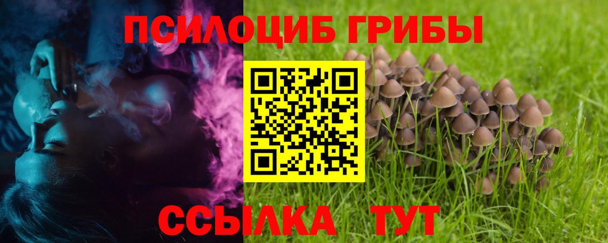 Псилоцибиновые грибы мухоморы  Вход с VPN  дарнет шоп  Татарск 
